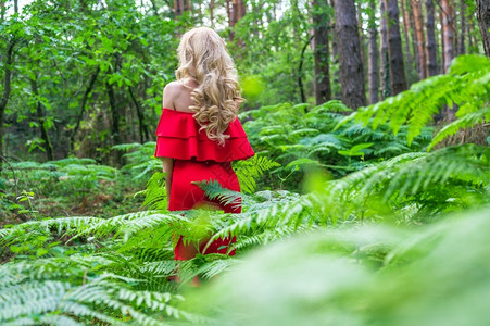 年轻的梦一个美丽金发女孩在童话森林中穿着别致的红色连衣裙背影气氛很棒高质量照片在童话森林中穿着别致的红色连衣裙美丽金发女孩背影气魅力高清图片素材