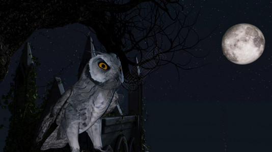 预售不眠夜喙黑暗一只猫头鹰在陵墓附近的蓝色月光下一动不地坐在棵树上3d渲染一只猫头鹰在陵墓附近的蓝色月光下一动不地坐在棵树上猛禽设计图片