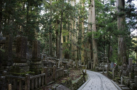 启示地点奥之院墓日本和歌山高野的奥之院日本世界遗产阳光图片
