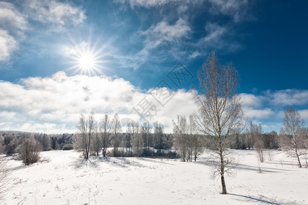 偏僻的阳光闪耀下寒冷冬日中落雪树木下一月图片