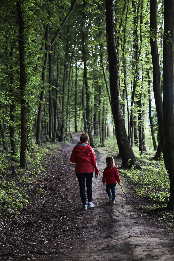 与母亲和女儿一起在森林中走过渡闲暇时间度假在森林里游荡接近自然家庭假期夏天图片
