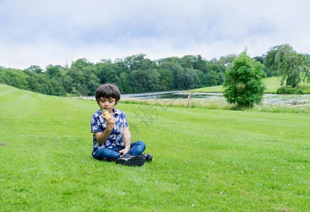 草地上玩耍的小男孩图片