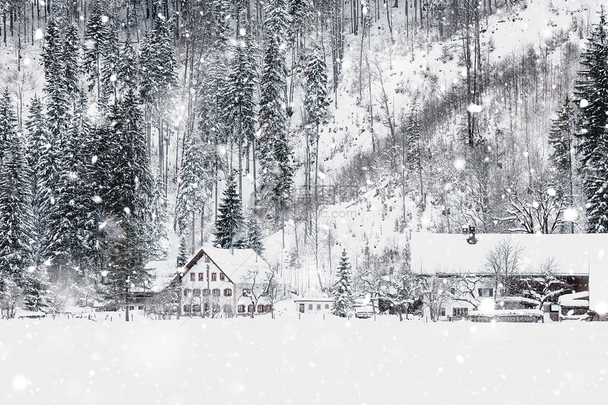 小屋雪地房和树木的阿尔卑斯山风景观有雪覆盖田地房子和树林神奇的柔滑场景背在雪瀑德国欧洲单色中音调与自然光下雪宁静图片