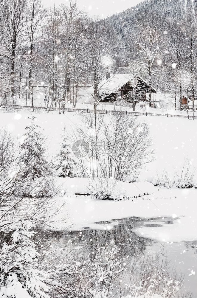 假期户外寒冷的雪地房屋和树木的阿尔卑斯山风景观有雪覆盖田地房子和树林神奇的柔滑场景背在雪瀑德国欧洲单色中音调与自然光图片