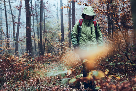 在秋天寒冷的一带着背包在森林周围游荡的女人回到中年活跃女视野积极走在森林道路上花时间女人与背包在森林周围游荡秋天寒冷的一自然开支冒险高清图片素材