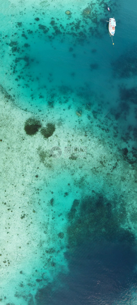 场景宁静对多彩珊瑚礁的空中俯冲观察充满活力图片
