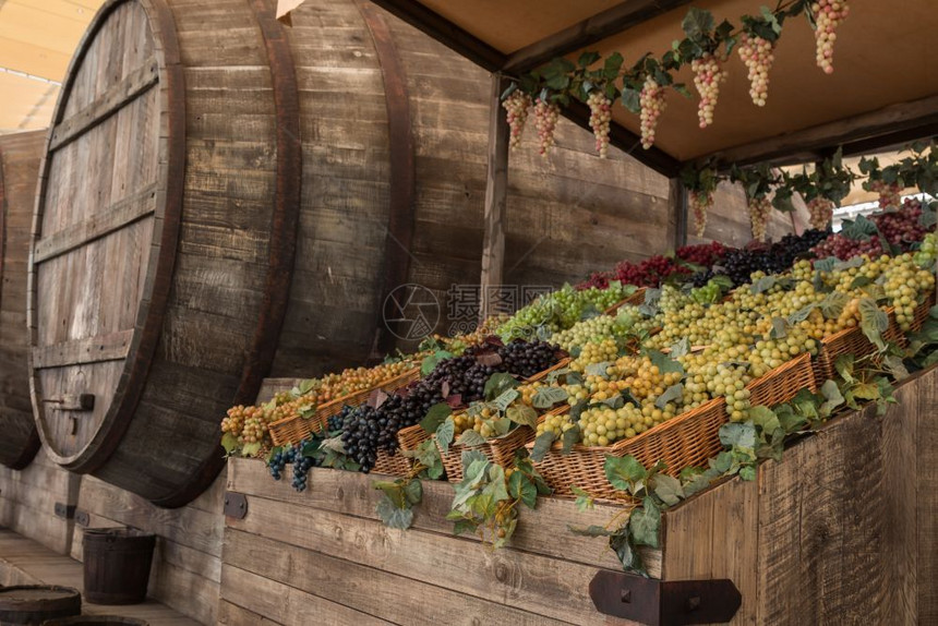 农场自然在Wodden篮子中靠近大桶的多彩葡萄架子图片