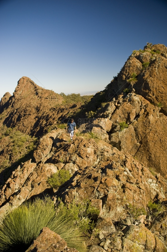 最佳一名男子在澳大利亚MtKaputar公园沿红山和橙色脉的脊行走岭山线图片