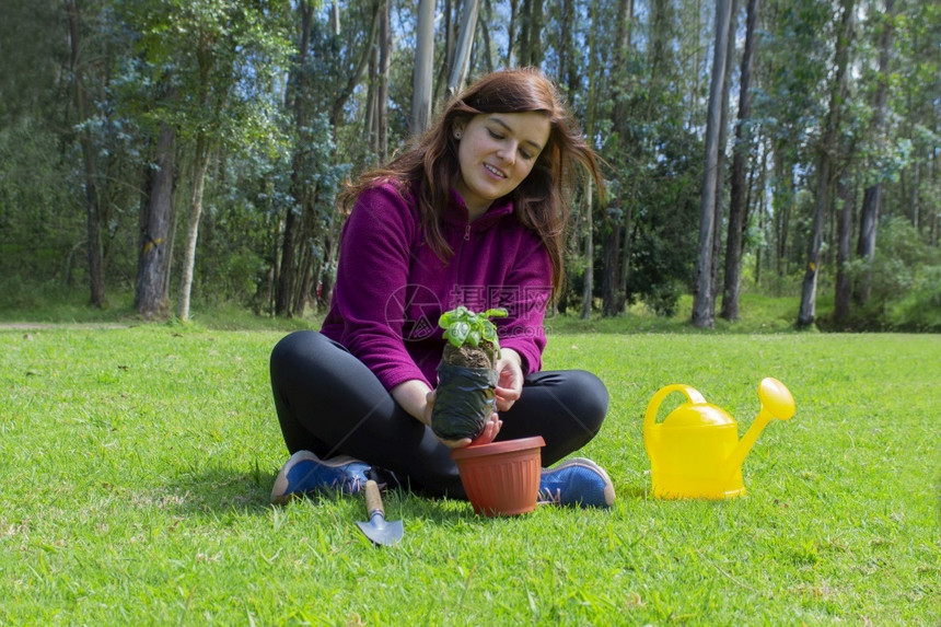 手早上美丽的西班牙裔年轻女子将一株小植物放在她家花园的盆里食物森林图片
