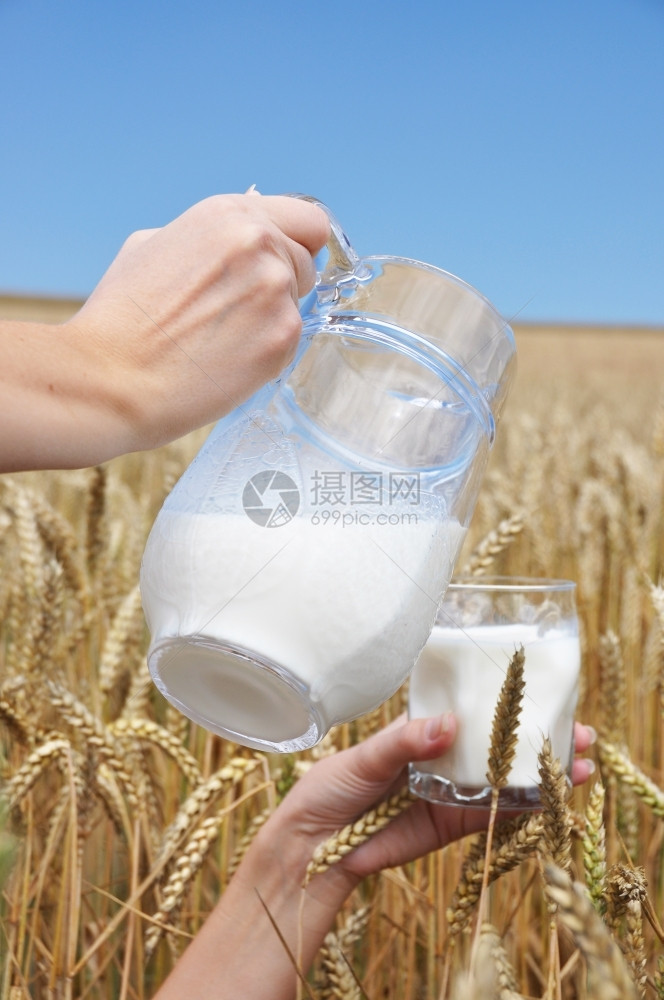 粮食手里拿着一罐牛奶对麦田风景早餐图片