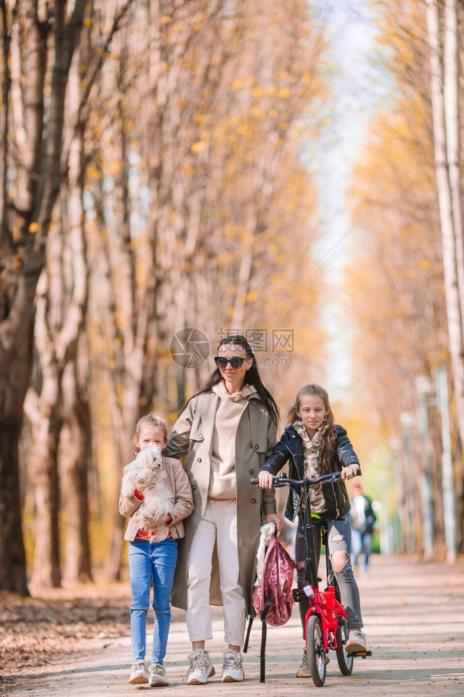 可爱的在阳光明日秋天公园带小女孩在秋天公园中与女孩在一起的年轻母亲家庭在清晨享受温暖的天气小女孩和妈在秋天公园户外人们树木图片