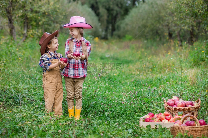 园艺夏天果一个兄弟姐妹在花园里的肖像满篮红苹果戴着bovboyskih帽子的男孩和一个女参与秋季收集苹果图片