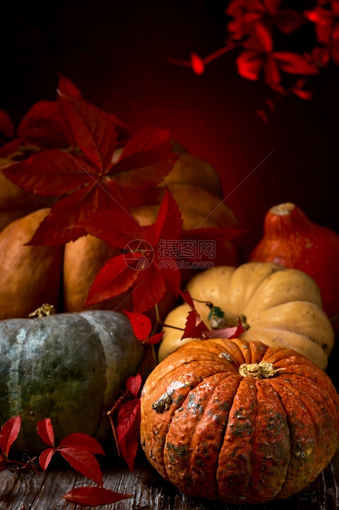 发光的落下一种南瓜放在旧桌子上配有柳叶秋天蔬菜季收割万圣节感恩或桑哈因银幕贺卡的补丁图片