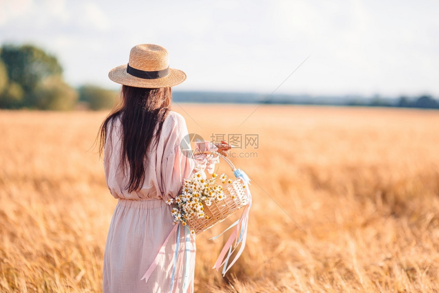 生长小麦田中的美貌妇女穿着衣服戴草帽手拿着一束香菊花在手头上的甘菊花在小麦田中看到女孩穿着草帽的漂亮女士手拿着成熟的小麦帽子日落图片