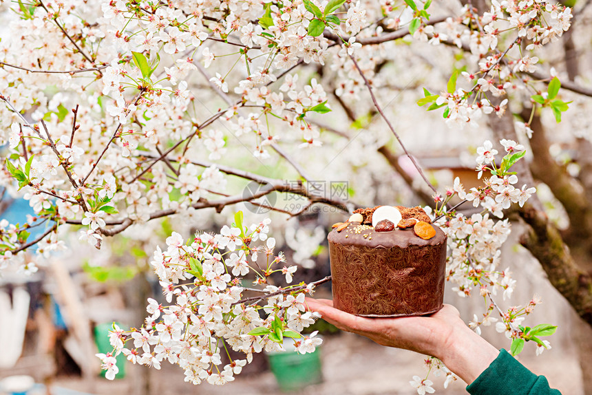 水果在花园里盛开的樱桃背景上节日复活蛋糕在阳光明媚的日子里盛开樱花在园里盛开的樱桃背景下节日复活蛋糕美食木制的图片