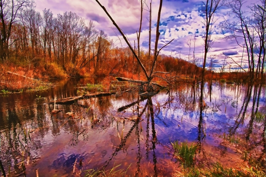 农村场景HDR中的湿地视图动态图片