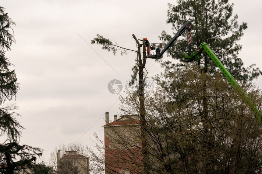 一种电锯手臂名男子在高海拔空升起时有伸直的液压臂笼子切开一棵大树的枝叶维护城市的树木图片