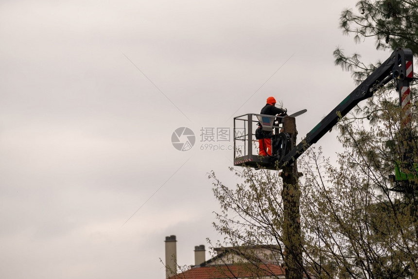 锯切危险维持一名男子在高海拔空升起时有伸直的液压臂笼子切开一棵大树的枝叶维护城市的树木图片