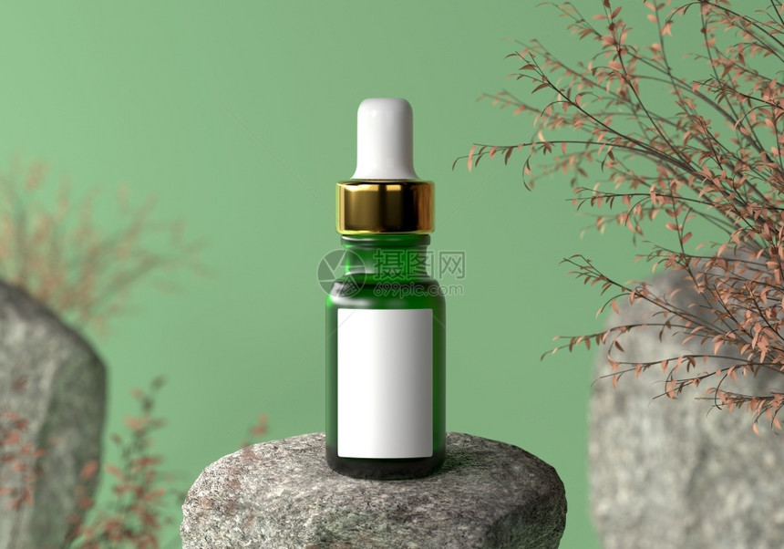 含有金盖的绿色血清瓶子和白标签用于春季或秋底天然岩石和干燥植物广告文本和标志的绿色血清瓶子以及3D产品化妆概念插图美丽保湿剂香气图片