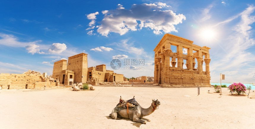 文化菲莱寺Trajanrsquos亭和骆驼美丽的全景阿斯旺埃及菲莱寺Trajanrsquos亭和骆驼埃及地标蓝色的图片