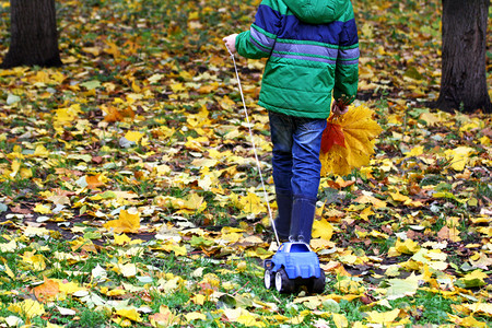 帽子生活男孩穿着绿色夹克靴子站在路边被树叶覆盖拉着玩具车是黄色叶子的手束花板这男孩身穿绿外套站在路上身盖着叶子拖一辆玩具车湿的图片