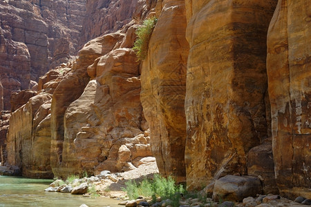 山户外约旦的WadiMujib小溪风景悬崖峡谷图片