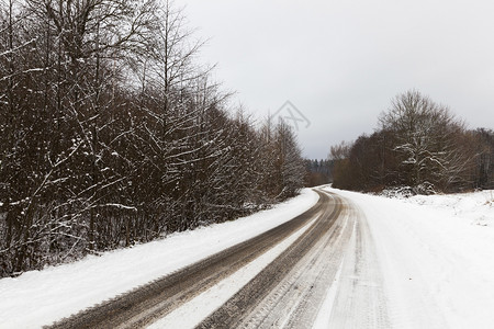 道路铺装自然树木小农村公路上面铺有雪周围布满种植林树照片拍摄在冬季泥土路和愿景汽车脱雪路生长设计图片