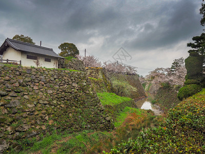 旅行粉色的日本城堡护河和有樱花的墙见图片