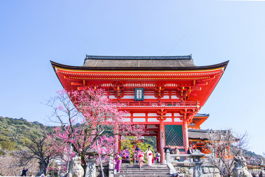 著名的2018年3月2日本京都将开花时日本清仓樱花盛开的水寺庙观光游客旅季节图片