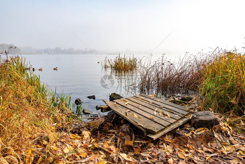 晴天薄雾蓝德尼伯河附近的大石头上一只木制浮舟正在等待渔夫的到来树木图片
