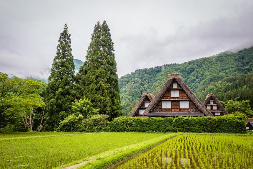 五箇山合掌造自然由于Gasshozukuri传统房屋在日本吉孚县Gokayama的日本传统和历史村Shirakawago由于Ga图片