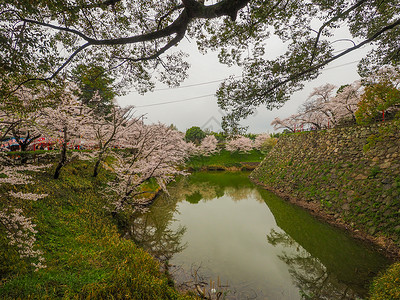 郡山樱桃日本城堡护河和有樱花的墙亚洲图片