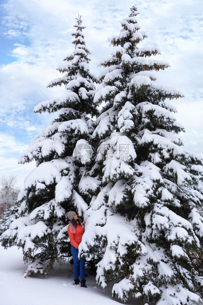 松树身穿明亮珊瑚夹克和蓝色牛仔裤的年轻漂亮女孩在冬天穿过雪覆盖仙女森林行走在高细小雪覆盖风毛树附近的白雪覆盖童话林中与蓝天对面一图片