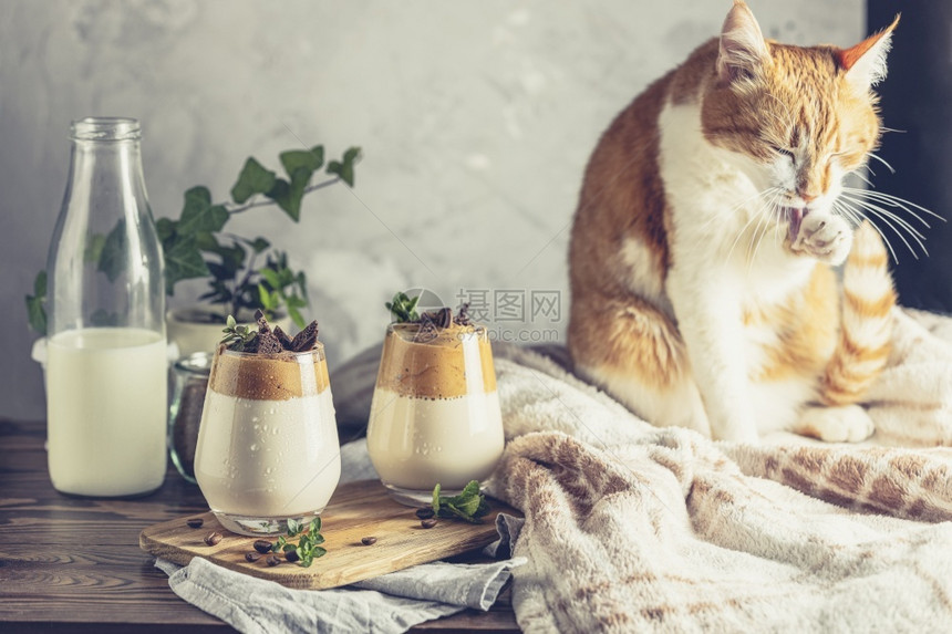 在深黑木质表面的两杯IcedDalgona咖啡旁边放松红白色小可爱猫在两杯IcedDalgona咖啡附近放松泡沫咖啡店牛奶图片