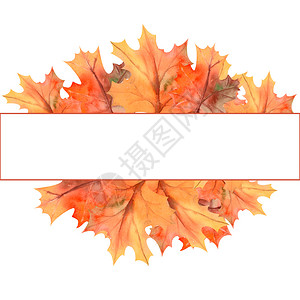 秋叶多彩艺术水彩秋叶长方形边框设计图片