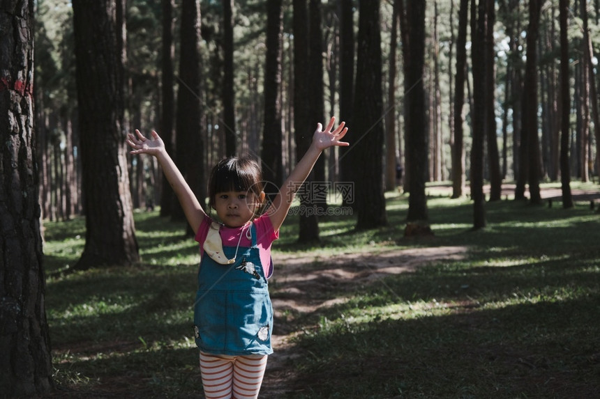 季节幸福活跃的小女孩在温暖夏日松林中奔跑快乐的女孩笑着微同时与家人一起在公园度假健康图片