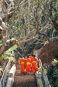 老挝僧侣佛教新手僧侣走楼梯到老挝琅勃拉邦PhouSi山顶的后视图联合国教科文组织世界遗产小镇低角度视图简单的帕邦东方背景