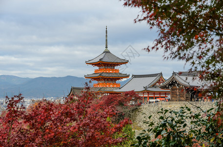 神社令人惊叹的山日本京都清美津寺庙秋彩色风景图片