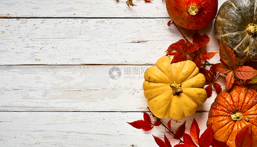 假期食物彩色南瓜在白木板上的布局用柳叶装饰顶视图复制空间秋季收获万圣节感恩或供屏幕使用的Samhain贺卡木制的图片