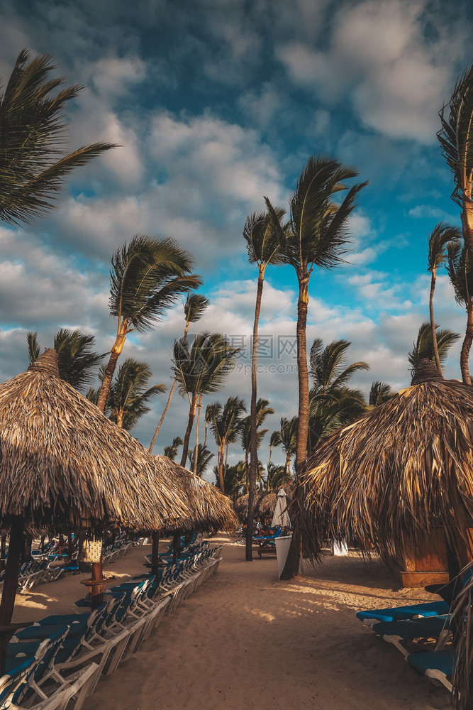 马尔代夫田园诗般的水蓬塔卡纳海滩上令人惊叹的日落之光配有躺椅遮阳伞和棕榈树图片