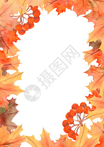 艺术水彩秋叶边框背景图片