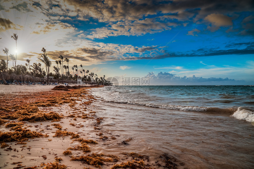 天堂热带岛屿海滩景观日落在阳光下拍摄蓬塔卡纳海滩上令人惊叹的日落光线配有躺椅遮阳伞和棕榈树海滩上的日落加勒比度假蓬塔卡纳热带海滩图片