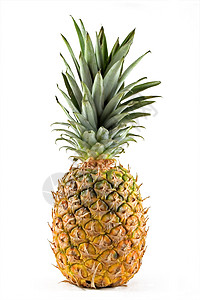 菠萝美味肉质营养水果食物果皮白色背景图片
