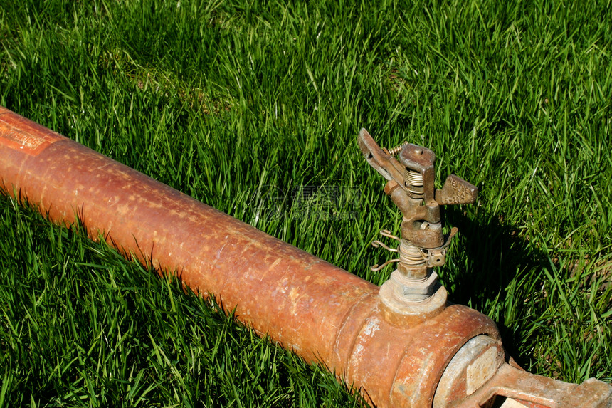 Sprinkler 喷雾器生长植物院子软管灌溉管道绿色农场洒水器花园图片