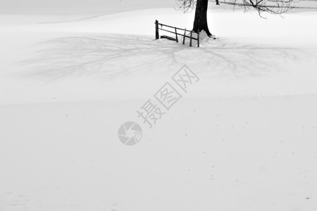 阴影风景分支机构投掷场地季节精神黑色季节性白色树干背景图片