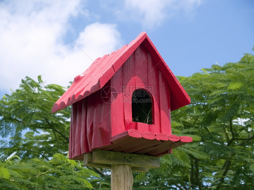 红鸟窝盒子住宅蓝色房子天空绿色住所鸟舍红色图片