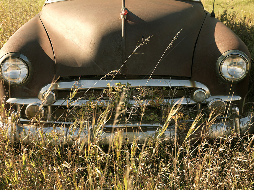 古董车在野外图片