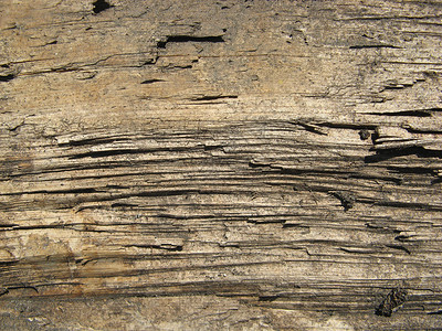 旧木条纹理木工木板背景图片