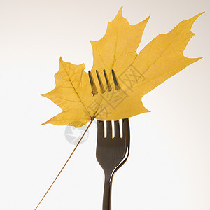 叉子上的橄榄叶叶子长矛穿透树叶照片服务冲孔枫叶静物概念背景图片