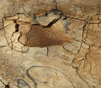 木木纹理木工木板背景图片